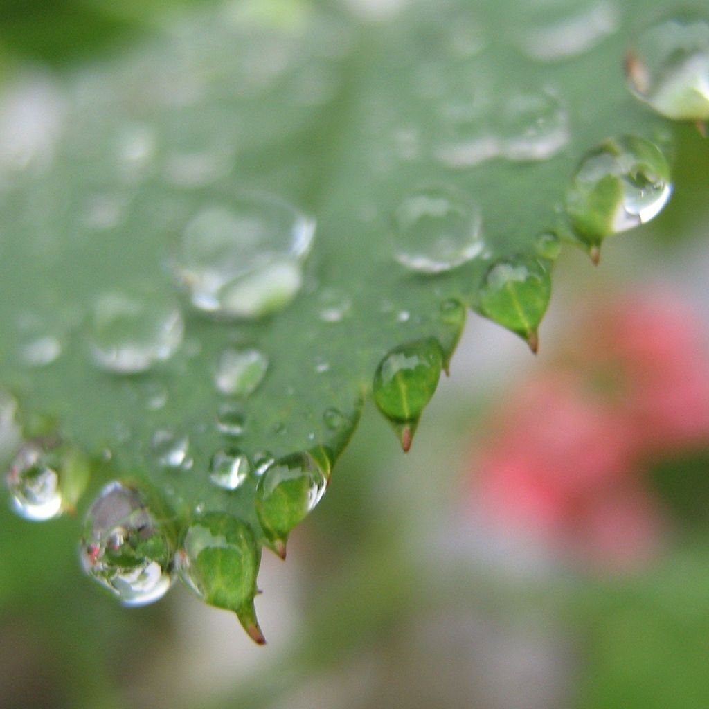 Návrh bez názvu (91)